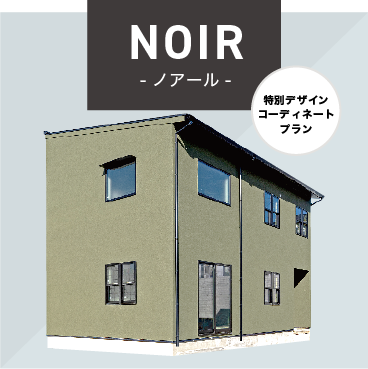 NOIR