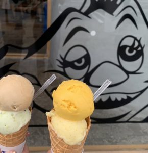 KUMAMOTO🐻✨
