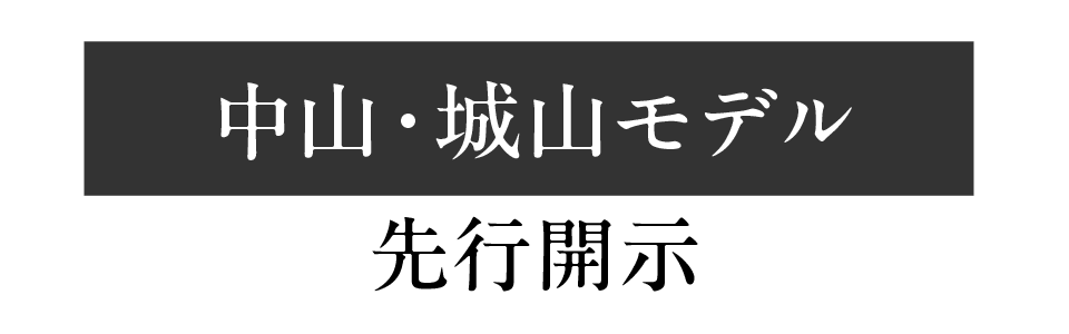 中山・城山モデル先行開示